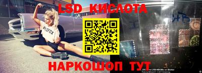 крисы Брянск