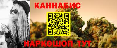 крисы Брянск