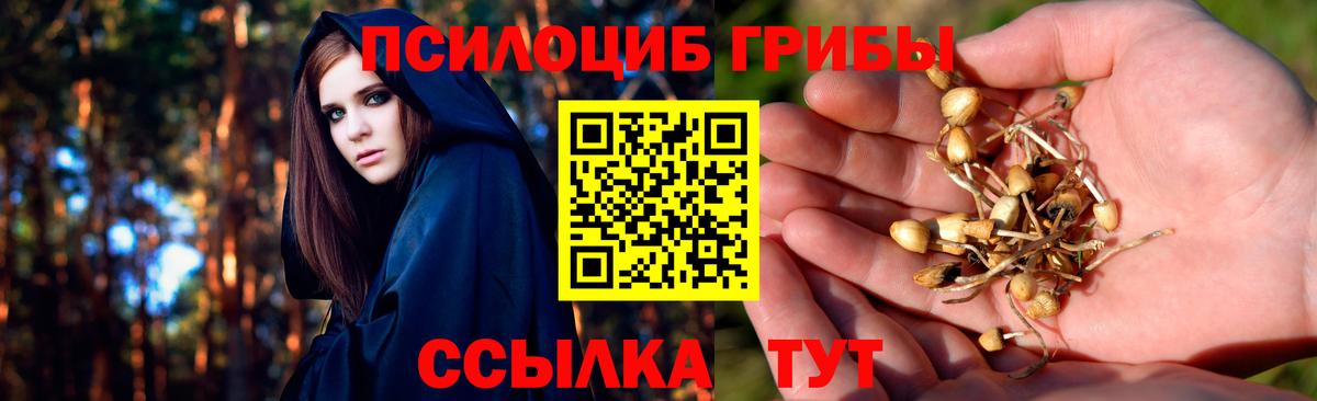 Псилоцибиновые грибы прущие грибы Новоуральск